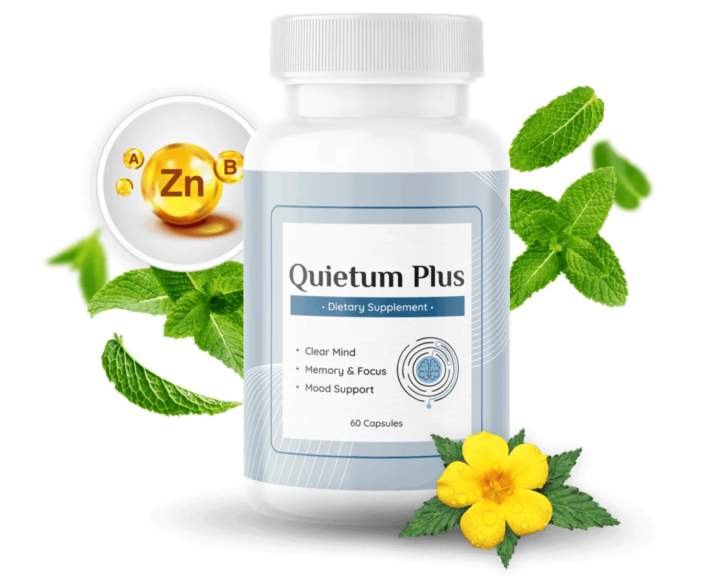 quietum plus