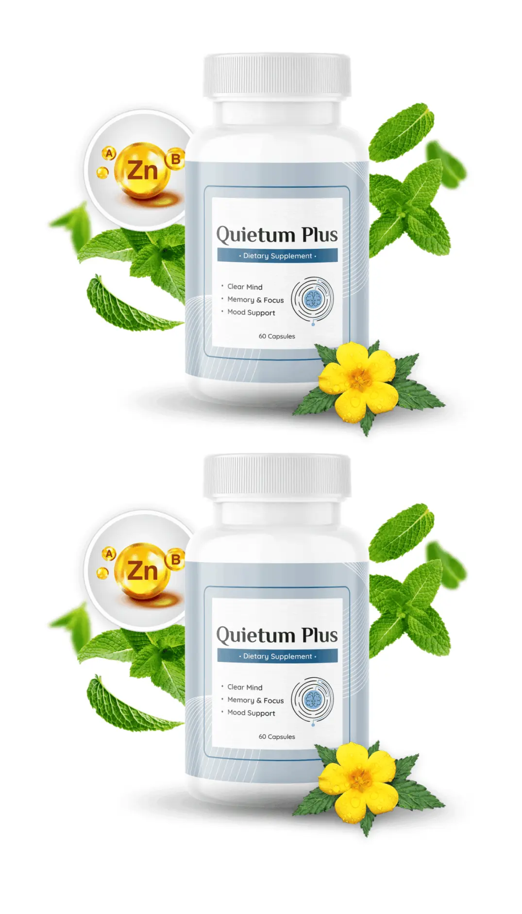 quietum plus intro